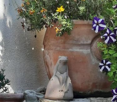 Chiusi della Verna Apartment | Ristoro la Verna, appartamenti in affitto
