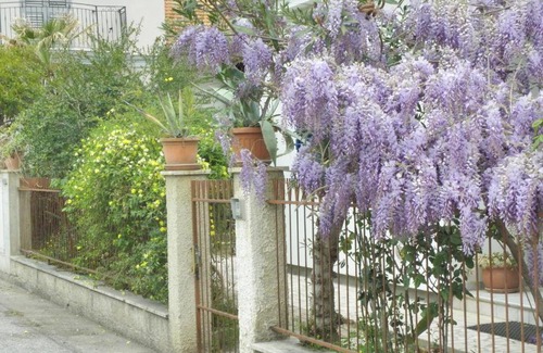 Giulianova Apartment | RITA'S ROOM ON THE SEA