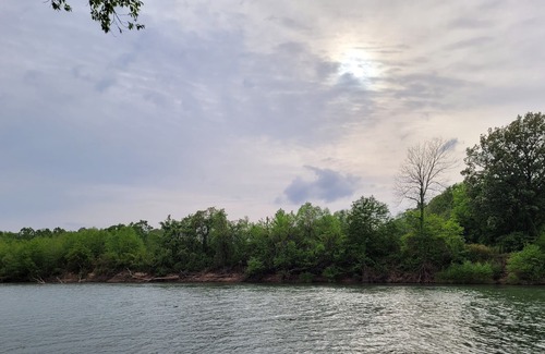 Beech Grove Cabin | River Bridge Bungalow - Located directly on the Current River in Arkansas