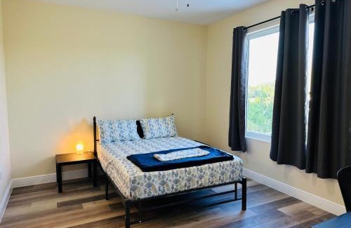 Tampa House | River Palace