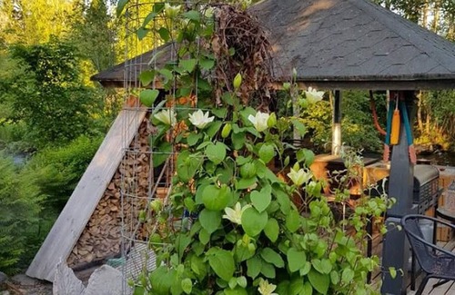 Aanekoski Ski Chalet | Riverfront Cottageee