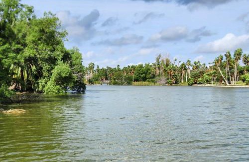 Los Fresnos House | Riverfront Family Home Yard, Orchard, Dock!
