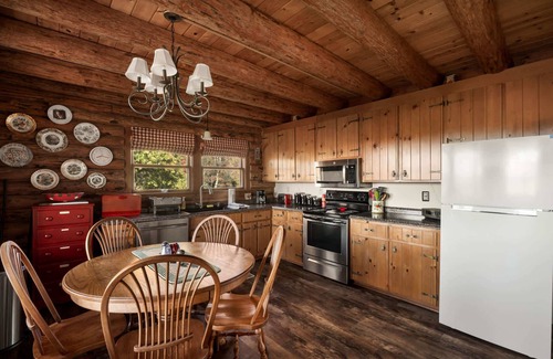 Paw Paw Cabin | Riverfront Log Cabin w Fireplace, Grill & Fire Pit