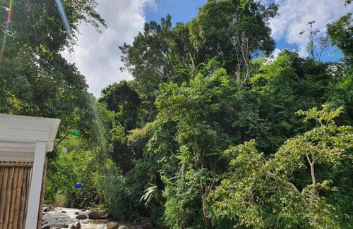 Pa Miang Other | Riverie Valley