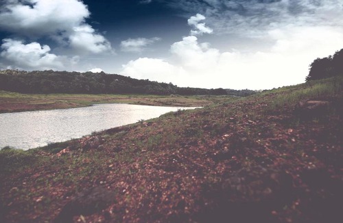Wadakanchery Resort | Riverine Springs