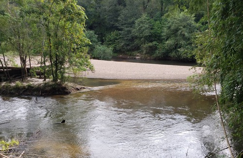 McComb House | “River’s Edge”, a secluded river- front, 2 bed 2 bath cottage in bamboo forest.