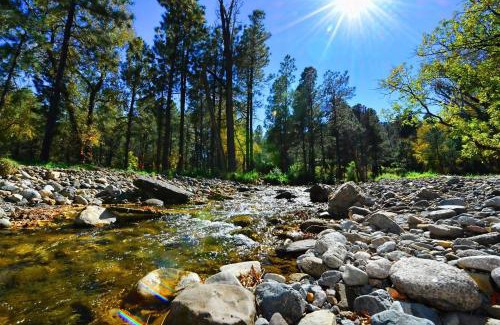 Ruidoso House | Rivers Edge Cabin