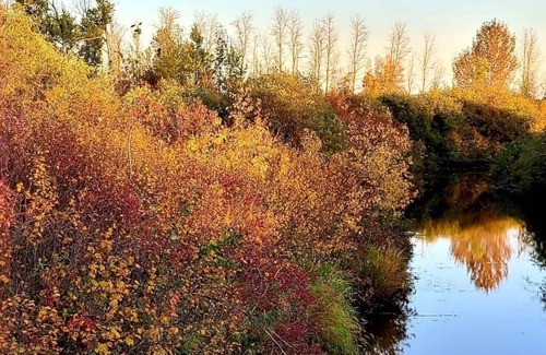Central Alberta Cottage | Riverside Acres