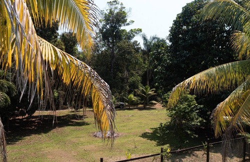 Hopkins Cabin | Riverside Lodge in Hopkins, Belize - Your Family's Ultimate Retreat!