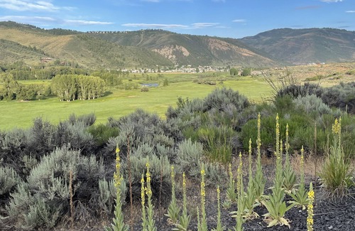 Edwards Condo | Riverside condo, new modern rustic decor, 10 minutes to Beaver Creek