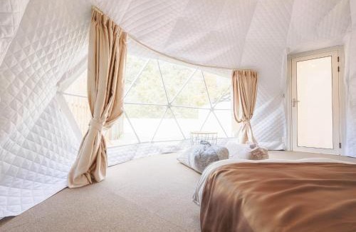 Aki Ward Other | Riverside Glamping Kamiseno - Vacation STAY 92767v
