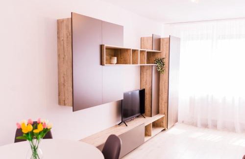 Satu Mare Apartment | Riverside White Apartment