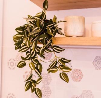 Satu Mare Apartment | Riverside White Apartment