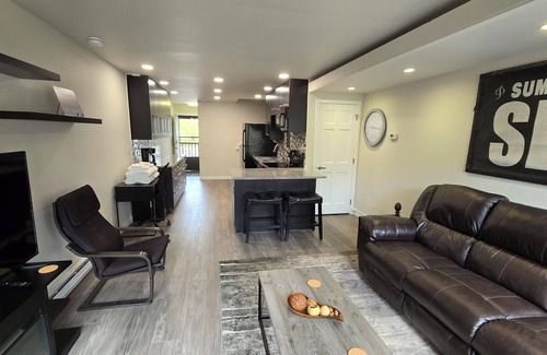 Basalt Condo | Riverview Retreat: Modern Condo overlooking the Roaring Fork