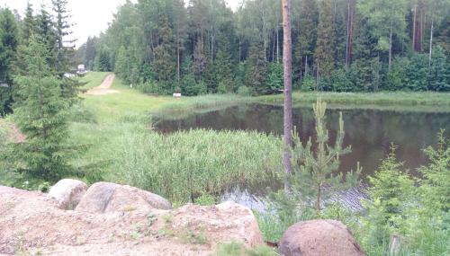 Saarde Resort | RNK Peebu Kämping