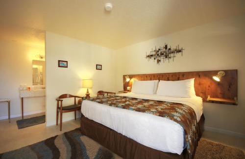 Tucumcari Hotel | Roadrunner Lodge Motel