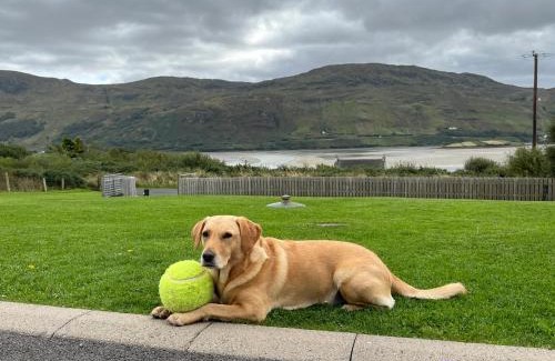Ardara Bed & Breakfast | Robins Nest