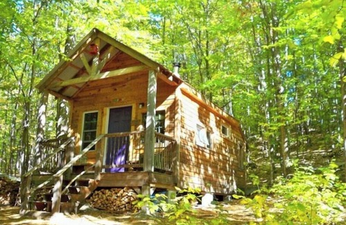 Denmark Cabin | "Robins Nest" Off Grid Solar Powered Eco Cabin