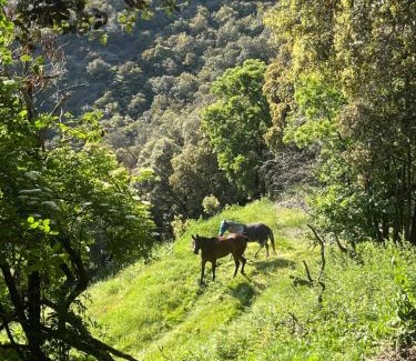 Fogars de Montclus Villa | Roca negra Montseny