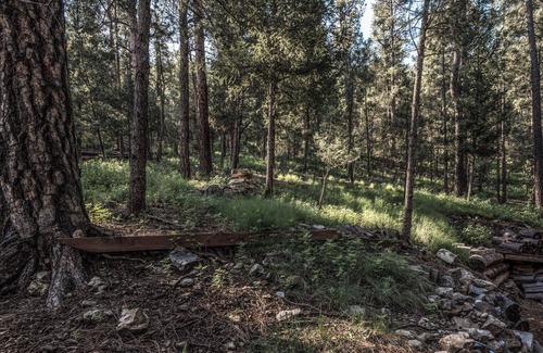 Ruidoso Cabin | Rock'inn Pines