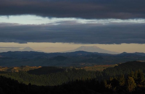 Waitomo Caves House | Rock Retreat B&B farmstay