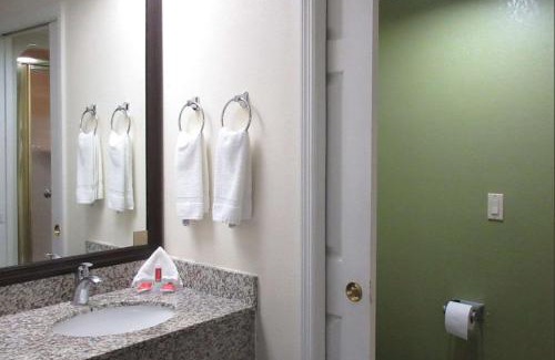 Albany Hotel | Rodeway Inn Albany South