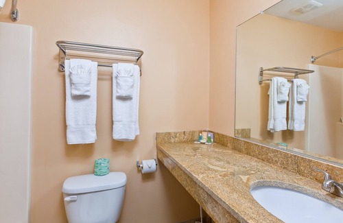 Peach Orchard Hotel | Rodeway Inn & Suites Hephzibah Augusta