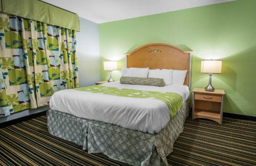 Cypress Gardens Hotel | Rodeway Inn & Suites Winter Haven Chain of Lakes