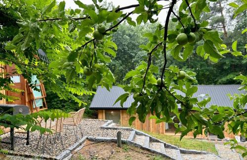Trzemesnia House | Rogaty Domek przy Bobrowisku