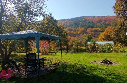 Ropica Gorna House | ROKOSZ - Noclegi Beskid Niski