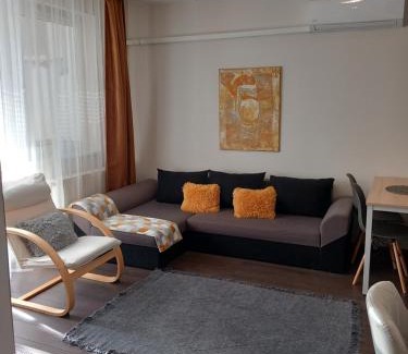 Nyiregyhaza Apartment | Roli Apartman