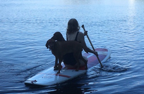 Cranberry Lake Cabin | Romancing The Lake!