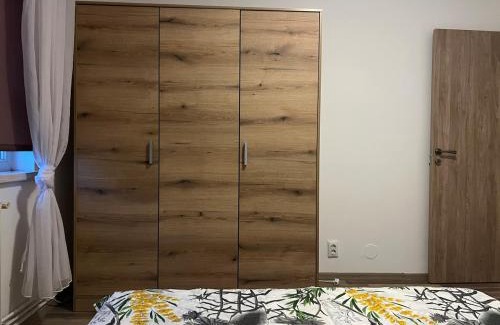 Craiova Apartment | Romanescu Park Apartment