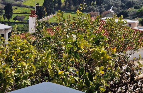 Paleopolis Apartment | Romantic Lemonia - 5 min from the center in Chora Andros