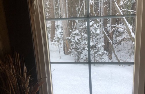 Sutton Cabin | Romantic Log Cabin in the Woods - Hot Tub under the Stars -80 km's from CN Tower