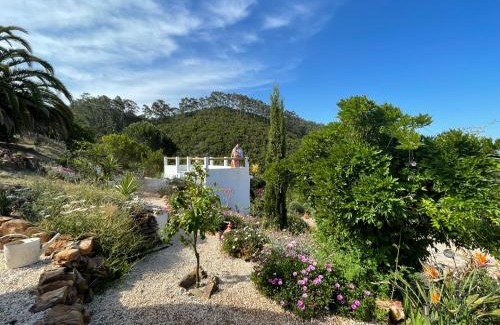 Baiona Apartment | Romantic Skyview Glasshouses