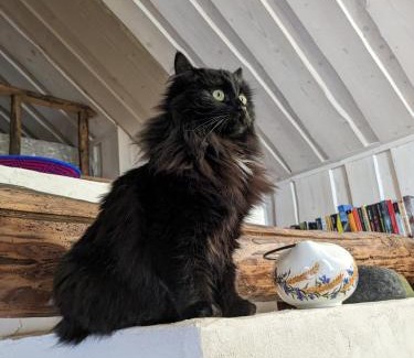 Hellamaa House | Romantiline talu ja saun Muhumaa südames