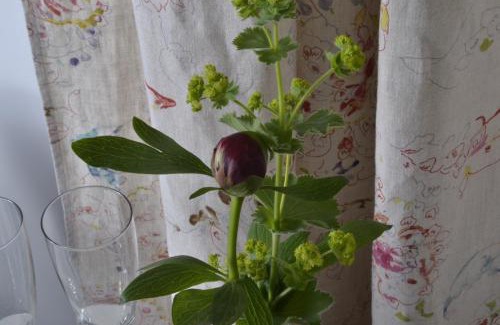 Wornitz Bed & Breakfast | Romantisches Bed&Breakfast Apfelstern