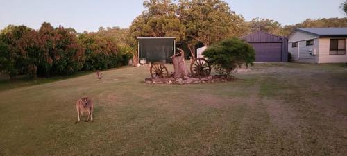 Agnes Water House | Roo Or 2 on Streeter