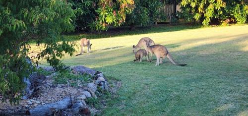 Agnes Water House | Roo Or 2 on Streeter