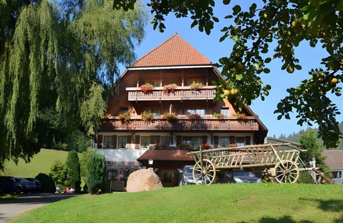 Ehlenbogen Apartment | Room 'Doppelzimmer 7' with Mountain View, Shared Terrace and Wi-Fi