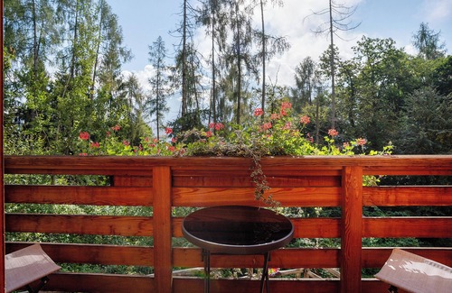 Roncegno Apartment | Room 'Faggio' with Mountain View, Private Garden and Balcony