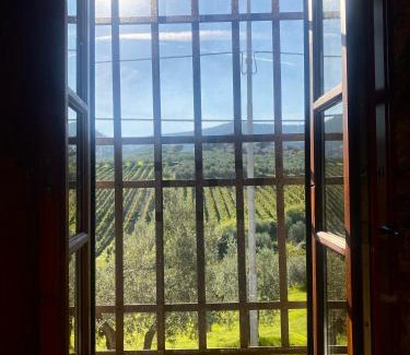 Santa Cristina a Mezzana House | Room in BB - Alessio room overlooking the vineyards of Tuscany