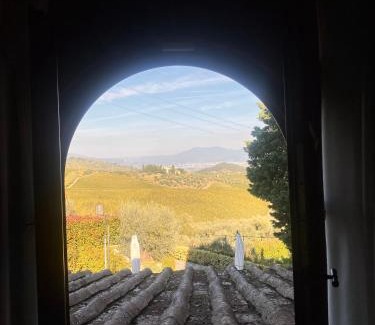 Santa Cristina a Mezzana House | Room in BB - Room overlooking the vineyards and Florence