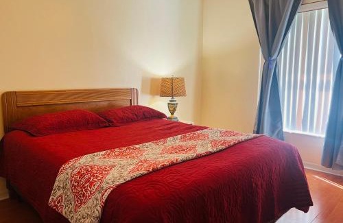Citrus Park House | Room in citrus park and carollwood, close to the airport & downtown