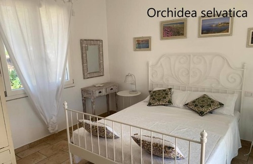 Aglientu House | Room in House - Monti Russo Natural Guest House