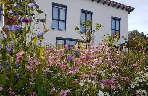 Bad Urach Apartment | Room 'No. 1' with Shared Terrace, Shared Garden and Wi-Fi