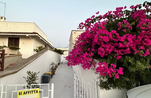 Marina di Mancaversa House | Room with private bathroom 100mt from the sea