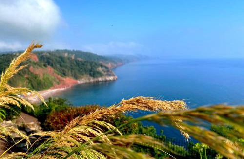 Babbacombe Hotel | Rooms At Babbacombe