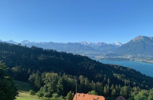 Heiligenschwendi Hotel | Rooms Haltenegg